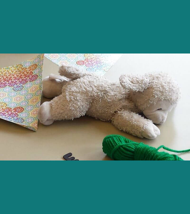 Lambie - stuffed lamb Lambie - stuffed lamb