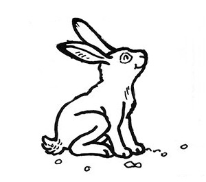 hare